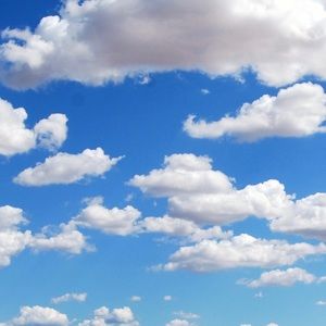 Meet your Posher, Viki